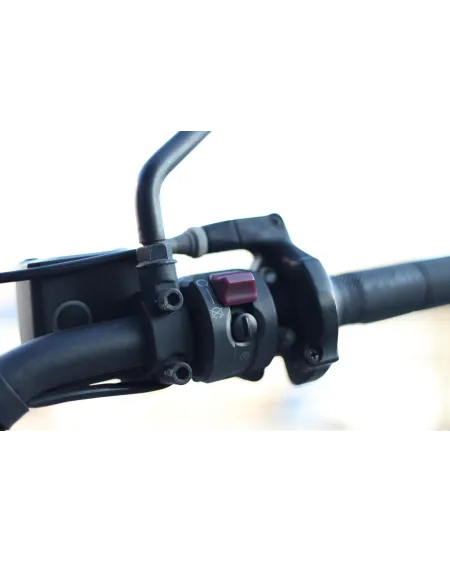 Ducati Scrambler Desert Sled