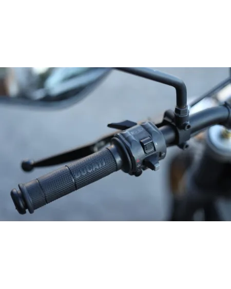 Ducati Scrambler Desert Sled