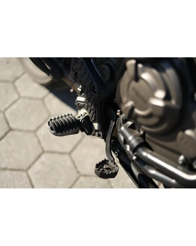 Yamaha Ténéré 700 c/Malas