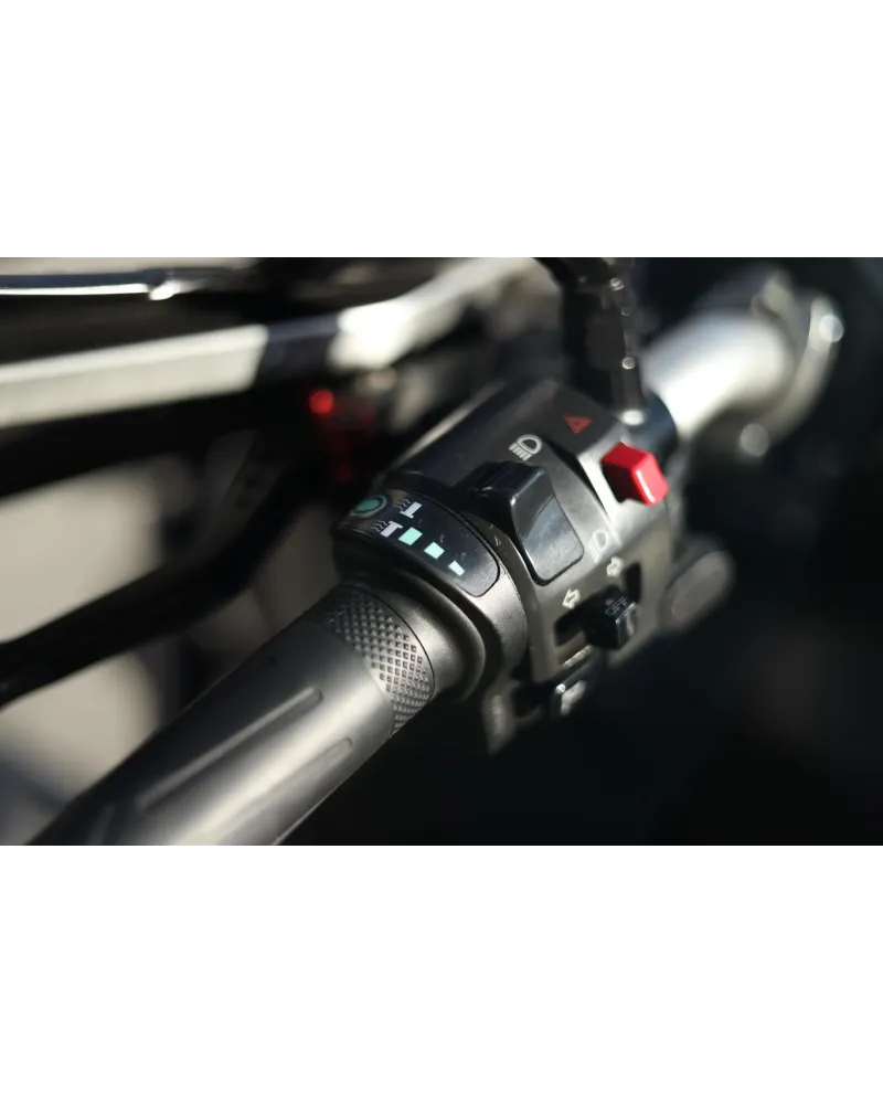 Yamaha Ténéré 700 c/Malas