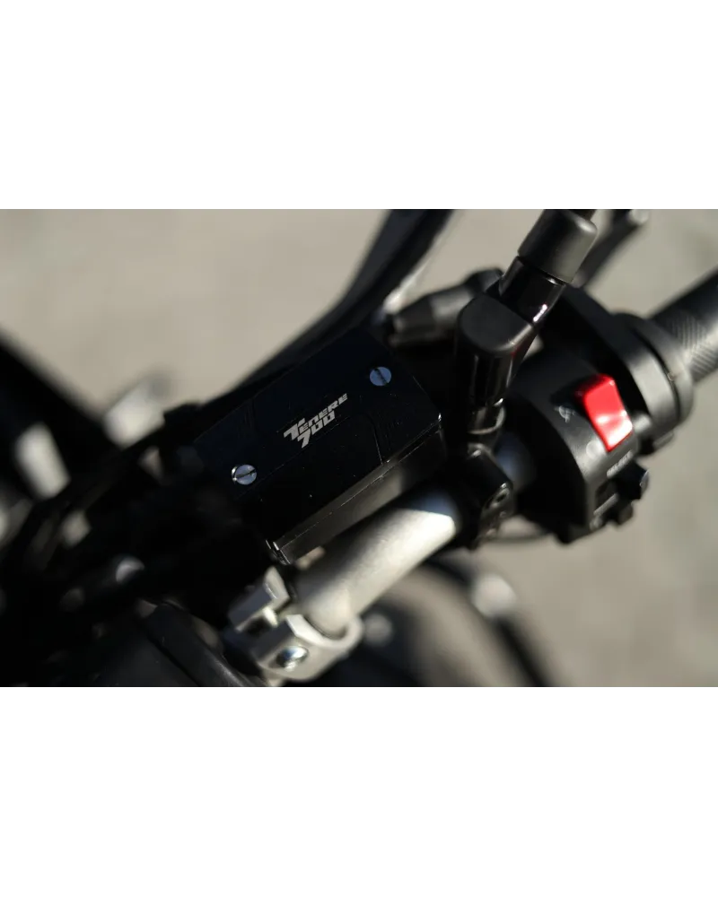 Yamaha Ténéré 700 c/Malas