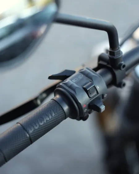 Ducati Scrambler Desert Sled